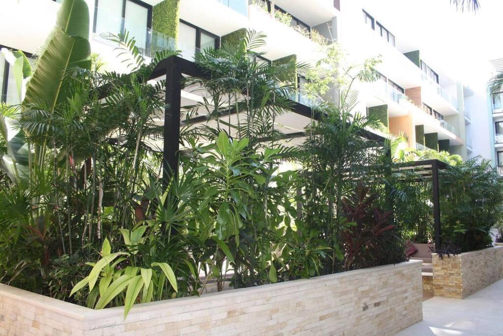 Your Exclusive Studio In The City - Top Amenities & Services For Free!! Playa del Carmen Dış mekan fotoğraf